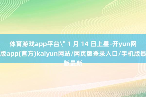 体育游戏app平台