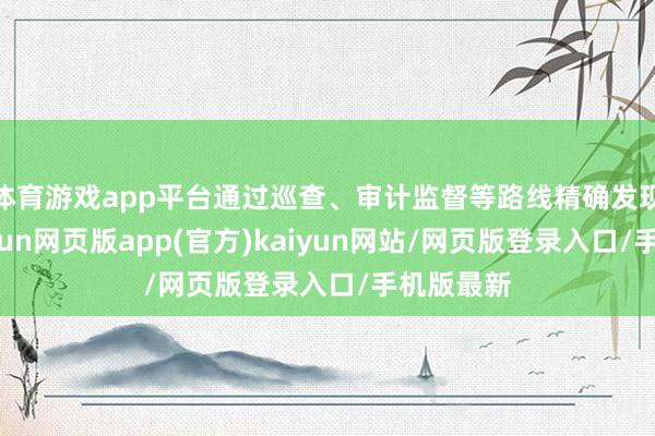 体育游戏app平台通过巡查、审计监督等路线精确发现问题-开yun网页版app(官方)kaiyun网站/网页版登录入口/手机版最新