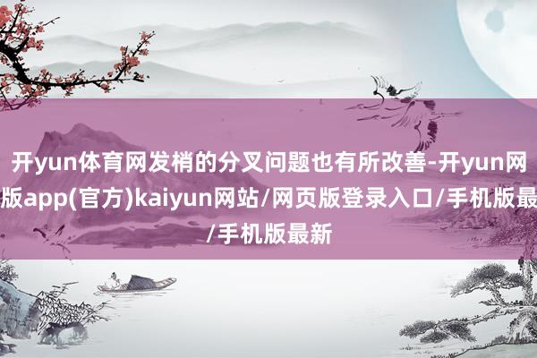 开yun体育网发梢的分叉问题也有所改善-开yun网页版app(官方)kaiyun网站/网页版登录入口/手机版最新