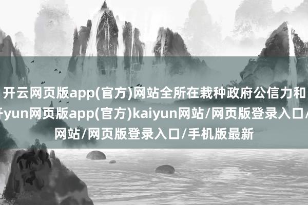 开云网页版app(官方)网站全所在栽种政府公信力和行政遵循-开yun网页版app(官方)kaiyun网站/网页版登录入口/手机版最新