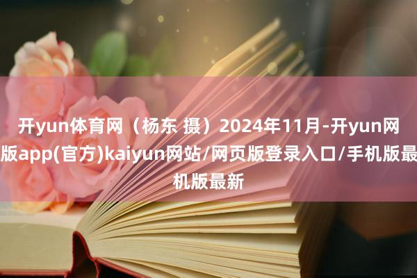 开yun体育网（杨东 摄）2024年11月-开yun网页版app(官方)kaiyun网站/网页版登录入口/手机版最新