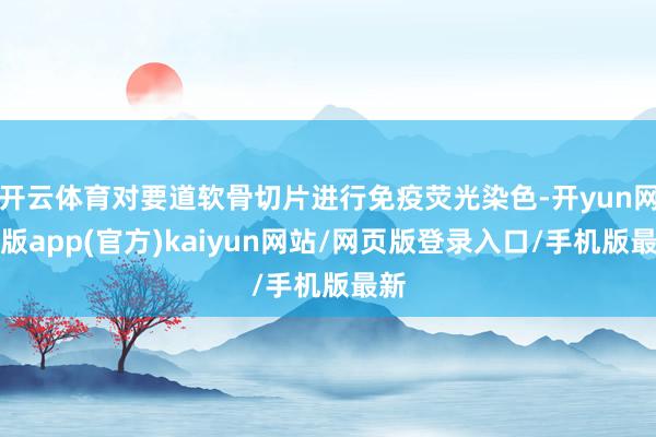 开云体育对要道软骨切片进行免疫荧光染色-开yun网页版app(官方)kaiyun网站/网页版登录入口/手机版最新